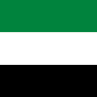 Emiratet e Bashkuara Arabe 4G / 5G Copy